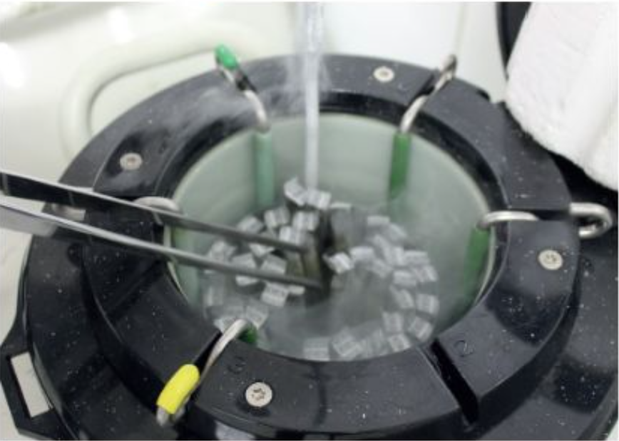 ASBIA: cara e corpo da inseminação artificial no Brasil