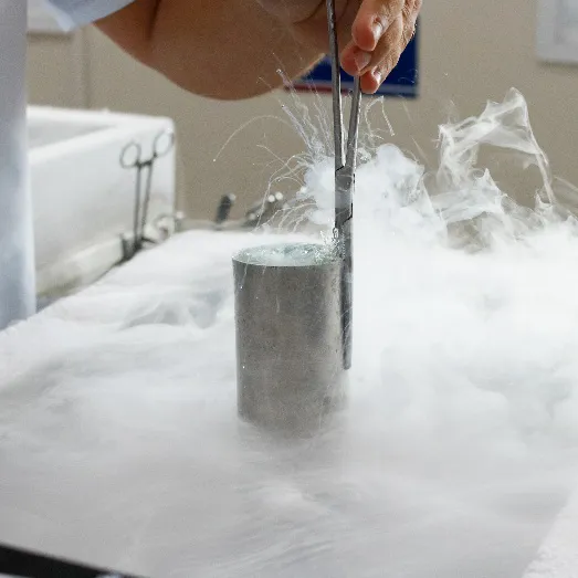 Asbia promove evento on-line de apresentação do resultado de genética bovina (INDEX SÊMEN ASBIA) em 2024