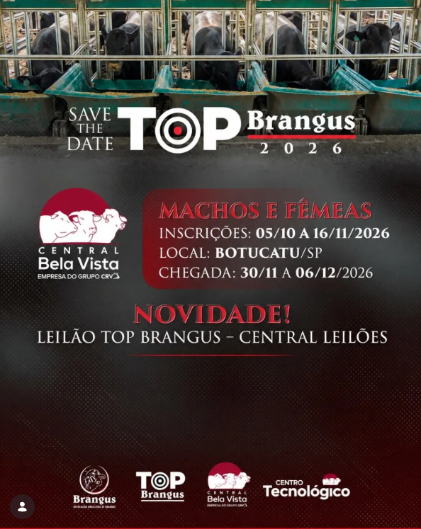 TOP Brangus 2026