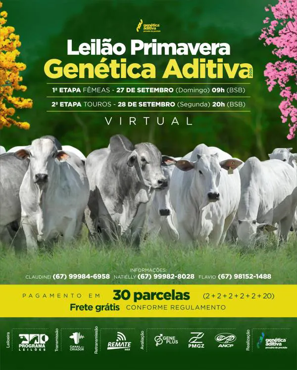 LEILÃO PRIMAVERA GENÉTICA ADITIVA 2026